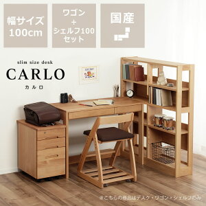 lqg₷VvŃXȊwK wKZbg(100×s45×73cm) X^fBR[i[ rOfXN wKfXN ؐ A_[ Vv i` k qǂ r