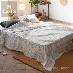 炵Ԏp`[tɂ}`Jo[MTCYi210×210cmj xbhJo[ xbhXvbh \t@[Jo[ Jo[O  xbhl t@ubN z 唻