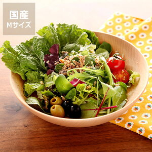 y50̂Iő5000~OFFN[|zzzRaseniZj؂̂M܂M[^i1j NX}X NX}Xv[g H Lb`ObY Mtg 蕨 v[g Lb`G 