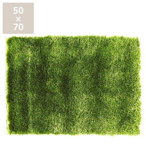 �y5��0�̂�������I�ő�5000�~OFF�N�[�|���z�z���zBRID�i�u���b�h�j�O���X���O50×70cm �J�[�y�b�g �O�~ �Ő� �ӂ�ӂ� ������� �I�V���� ������ �ϔM���H �z�b�g�J�[�y�b�g ���g�[ ���r���O 