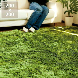 �y5��0�̂�������I�ő�5000�~OFF�N�[�|���z�z���zBRID�i�u���b�h�j�O���X���O200×200cm �J�[�y�b�g �O�~ �Ő� �ӂ�ӂ� ������� �I�V���� ������ �ϔM���H �z�b�g�J�[�y�b�g ���g�[ ���r���O