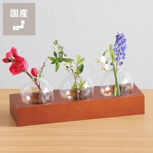 y50̂Iő5000~OFFN[|zzzLa Luzi[XjEbht[x[XC@gv NX}X NX}Xv[g CeA Vzj zj  V