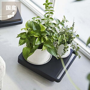 RƁi}ULWcMEjԁ@toweri^[j@` NX}X NX}Xv[g Y LX^[ y RpNg [ N[[bg EH[NCN[