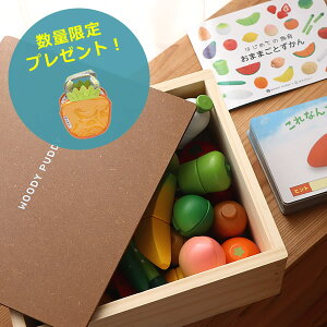 ディンギー ウッディプッディ 食育ずかん はじめての食育 おままごとずかん ままごと 価格比較 価格 Com