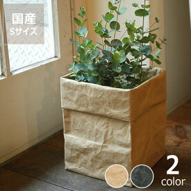 楽天市場 観葉植物 鉢 おしゃれ キッチン用品 食器 調理器具 の通販