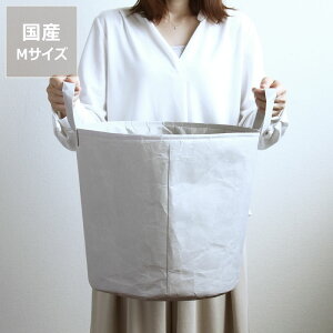 y50̂Iő5000~OFFN[|zzzSIWAiVjh[{bNX Mh[oXPbg 󂩂ifUCi[F[Vlj NX}X NX}Xv[g G Mt