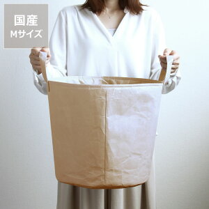 SIWAiVjh[{bNX Mh[oXPbg 󂩂ifUCi[F[Vlj G Mtg 蕨