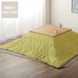 敗ƑžC[Wzc|Pi 200cm×200cmu` 75`80cmvp zc R^czc zc ӂƂ ` |zc |  IV rO q y