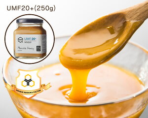 HONEY MARKSinj[}[NXj}kJnj[ UMF20vXi250gjMtgobOt NX}X NX}Xv[g o^C zCgf[ UMF20 ݂͂ n`~c I }kJ MGO UMF Gl