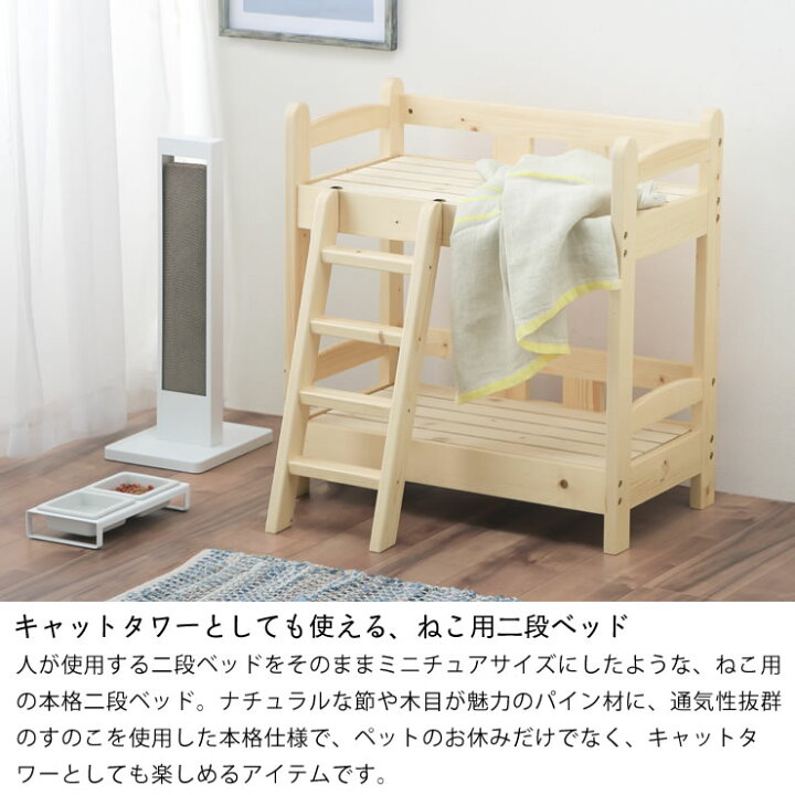 楽天市場】【7/1限定!税込5000円以上購入で500円OFFクーポン】ネコ用  
