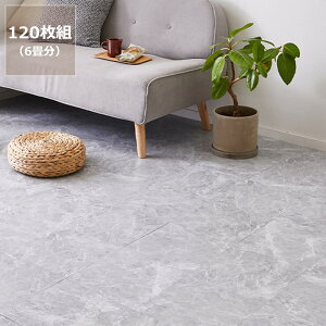 y50̂Iő5000~OFFN[|zzzuȒP Xg[tA^C20gi1j 120gi6j@s NbVtA tAV[g t[O z