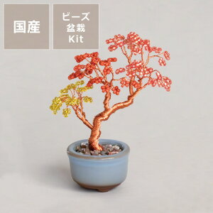 y50̂Iő5000~OFFN[|zzzMIYUKI(~L)lWbeBONSAILbg nhChLbgE㕥s NX}X NX}Xv[g { Lbg |