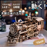 つくるんですつくろう！動く3Dウッドパズル　機関車 木製パズル 立体パズル 3D つくるんです 手作りキッ…