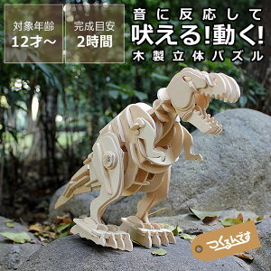 ł@EbhpY@eBmTEXij@ NX}X NX}Xv[g ؐpY ̃pY 3D DIY ؂̂ ؐߋ   ~j`A