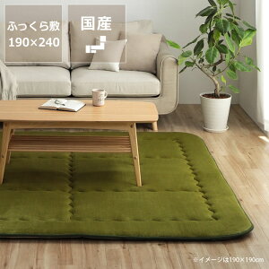 y50̂Iő5000~OFFN[|zzz~zc ӂ ~Pi190cm×240cmu`105`120cmvps `
