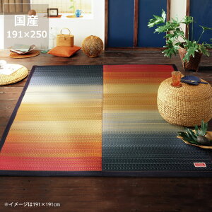 ��B�Y�����ƍ��Y�f�j�����n�̏����Y�@�O���f�[�V�����������O�i191×250cm�j �uF�W���C�v��������s�����@���O�@�����J�[�y�b�g �T�}�[�}�b�g �T�}�[���O �ߓd �ߓd�΍� ���C�΍� �z���� 