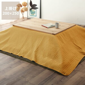 y50̂Iő5000~OFFN[|zzzzc@|Jo[Pi200cm×250cmu`105`120cmvps}`Jo[ xbhXvbh \t@Jo[ LgJo[ 