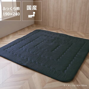 y50̂Iő5000~OFFN[|zzz~zc ` ~Pi130×190cm 190×240cm@s {[  ~zc O J[ybg ߓd GR  a m