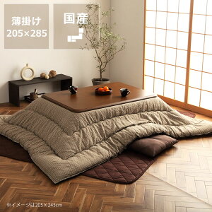 y50̂Iő5000~OFFN[|zzzzc |Pi205cm×285cmu`135`150cmvps