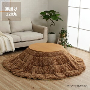 �y5��0�̂�������I�ő�5000�~OFF�N�[�|���z�z���z�����z�c ���|���P�i���a220cm�u�~�`100�`110cm�v�p��������s�� ������ �|���z�c ���|�� �ߓd �G�R ������� �a�� �m�� �ۉ� �y�� �R���p�N