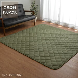 �����~���z�c �~���P�i190cm×290cm�u�����`180cm�v�p��������s�� ������ �~���z�c ���O �J�[�y�b�g �ߓd �G�R ������� �a�� �m�� �ۉ� �h��