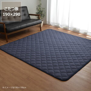 yԌ10%OFFI10/31 9:59܂Łz ~zc ~Pi190cm×290cmu`180cmvps  ~zc O J[ybg ߓd GR  a m ۉ h