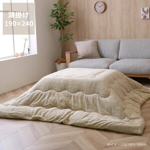 �y5��0�̂�������I�ő�5000�~OFF�N�[�|���z�z���z�����z�c�@���|���P�i190cm×240cm�u�����` 105�`120cm�v�p��������s�� ������ �|���z�c ���|�� �ߓd �G�R ������� �a�� �m�� �ۉ� �y�� �R