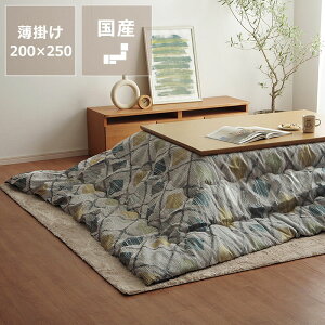 �y5��0�̂�������I�ő�5000�~OFF�N�[�|���z�z���z�����z�c�@���|���P�i200cm×250cm�u�����` 105�`120cm�v�p��������s�� ������ ���Y ���{�� �|���z�c ���|�� �ߓd �G�R ������� �a�� �m�� 