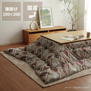 �y5��0�̂�������I�ő�5000�~OFF�N�[�|���z�z���z�����z�c�@���|���P�i200cm×300cm�u�����` 135�`150cm�v�p��������s�� ������ ���Y ���{�� �|���z�c ���|�� �ߓd �G�R ������� �a�� �m�� 