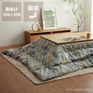 �y5��0�̂�������I�ő�5000�~OFF�N�[�|���z�z���z�����z�c�@���|���P�i200cm×300cm�u�����` 135�`150cm�v�p��������s�� ������ ���Y ���{�� �|���z�c ���|�� �ߓd �G�R ������� �a�� �m�� 