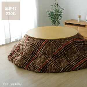 �y5��0�̂�������I�ő�5000�~OFF�N�[�|���z�z���z�����z�c ���|���P�i���a220cm �u�~�`110cm�v�p��������s�� ������ �|���z�c ���|�� �ی^ �ߓd �G�R ������� �i�`������ �m�� �ۉ� �f�M