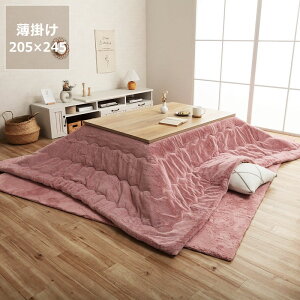 【5と0のつく日限定!最大5000円OFFクーポン配布中】こたつ布団 薄掛け単品 205cm×245cm「長方形 120cm」用※代引き不可 こたつ 掛け布団 薄掛け 節電 エコ おしゃれ 北欧風 韓国風 洋風 シンプ