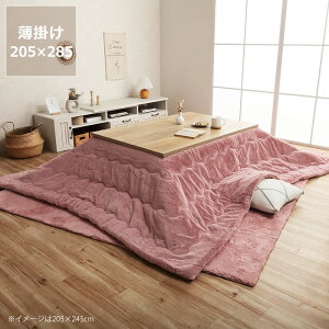 【5と0のつく日限定!最大5000円OFFクーポン配布中】こたつ布団 薄掛け単品 205cm×285cm「長方形 135〜150cm」用※代引き不可 こたつ 掛け布団 薄掛け 節電 エコ おしゃれ 北欧風 韓国風 洋風 シ