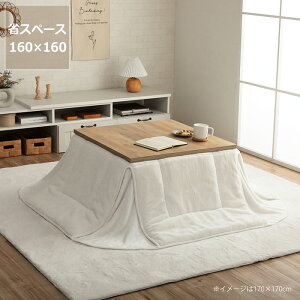 【5と0のつく日限定!最大5000円OFFクーポン配布中】こたつ布団 省スペース 掛け単品160cm×160cm「正方形 60cm」用※代引き不可 こたつ 掛け布団 薄掛け 節電 エコ おしゃれ 北欧風 韓国風 洋風