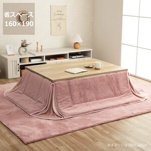 �y5��0�̂�������I�ő�5000�~OFF�N�[�|���z�z���z�����z�c �ȃX�y�[�X�@�|���P�i160cm×190cm�u�����` 90cm�v�p��������s�� ������ �|���z�c ���|�� �ߓd �G�R ������� �k���� �؍��� �m�� 