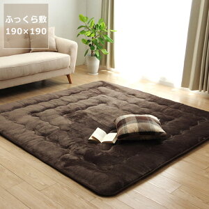 ~zc ӂ ~Pi190cm×190cmu`75`90cmvps 􂦂 n Vv  R^c x xp p p~zc ~ӂƂ ~zc  i