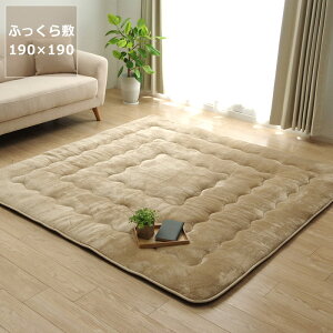 y50̂Iő5000~OFFN[|zzz~zc ӂ ~Pi190cm×190cmu`75`90cmvps 􂦂 n Vv  R^c x xp p 