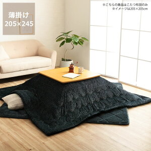 y50̂Iő5000~OFFN[|zzzzc@|Pi@205cm×245cmu` 120cmvps  |zc | ߓd GR  i` 킢 k 