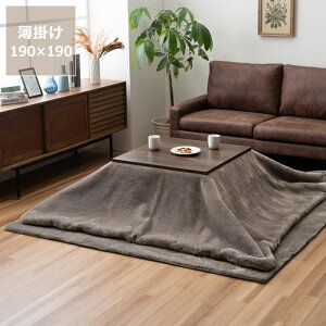 y50̂Iő5000~OFFN[|zzzzc@|Pi190cm×190cmu` 70`80cmvps  |zc |zc |ӂƂ R^c g | ߓd GR 