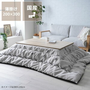 zc@|Pi200cm×250cm 200cm×300cms R^czc i` Vv Y Ǖi gCo ߓd ~ a m rO Q q V zc ӂƂ ȃGl