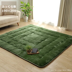 y50̂Iő5000~OFFN[|zzz~zc ӂ ~Pi190cm×260cmu`135`150cmvps 􂦂 n Vv  R^c x xp p 