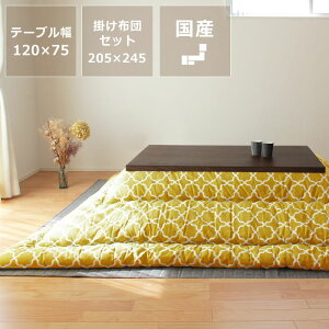 ȃIWifUC̉Ƌ@`@120cmubN`F[AEH[ibgގgp _CjO e[u x ƋR^c VR Y  ubN`F[ 