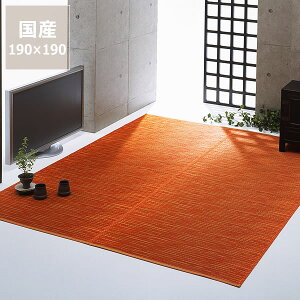 y11/1Iō5000~ȏw500~OFFN[|z O O J[ybguA[v (190×190cm) CX^C (inSTYLE) T}[}bg T}[O ߓd ߓd΍ C΍ z 