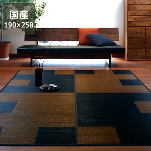 y11/1Iō5000~ȏw500~OFFN[|z O O J[ybgu}Cv (190×250cm) CX^C (inSTYLE) T}[}bg T}[O ߓd ߓd΍ C΍ z R