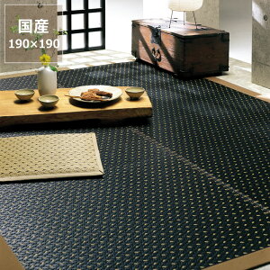  O O J[ybguz^v (190×190cm) CX^C (inSTYLE) T}[}bg T}[O ߓd ߓd΍ C΍ z R L ~ Q }bg tA}bg t