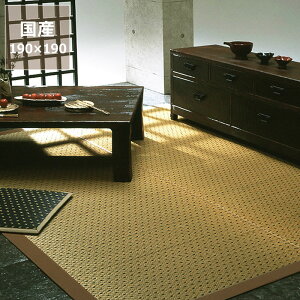 y11/1Iō5000~ȏw500~OFFN[|z O O J[ybguz^v (190×190cm) CX^C (inSTYLE) T}[}bg T}[O ߓd ߓd΍ C΍ z R