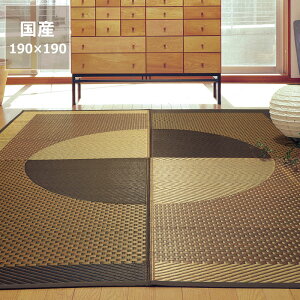 y11/1Iō5000~ȏw500~OFFN[|z O O J[ybgIׂ10 (190×190cm) CX^C (inSTYLE) T}[}bg T}[O ߓd ߓd΍ C΍ z R