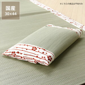 【5と0のつく日限定!最大5000円OFFクーポン配布中】い草平枕「小梅」 (30×44cm) インスタイル (inSTYLE) 節電 節電対策 湿気対策 吸湿性 抗菌 消臭 お盆 ギフト 寝具 寝心地 たたみ 畳 リビング お