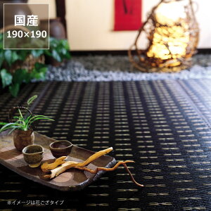 y11/1Iō5000~ȏw500~OFFN[|z O O J[ybgu݁v (190×190cm) (\H) CX^C (inSTYLE) T}[}bg T}[O ߓd ߓd΍ C