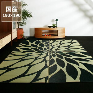 y11/1Iō5000~ȏw500~OFFN[|z O O J[ybgu_Av (190×190cm) (\H) CX^C (inSTYLE) T}[}bg T}[O ߓd ߓd΍ C